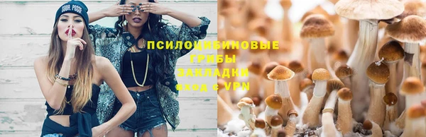 шишки Красноперекопск
