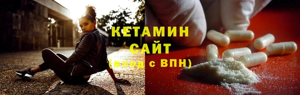 шишки Няндома