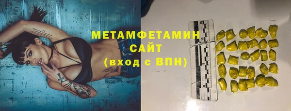 шишки Няндома