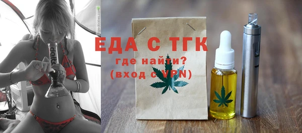 шишки Няндома