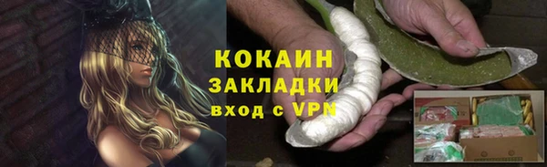 шишки Няндома