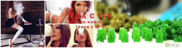 шишки Няндома