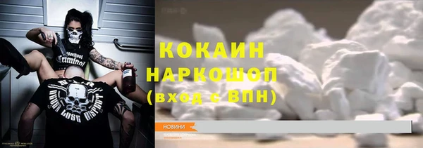 шишки Няндома