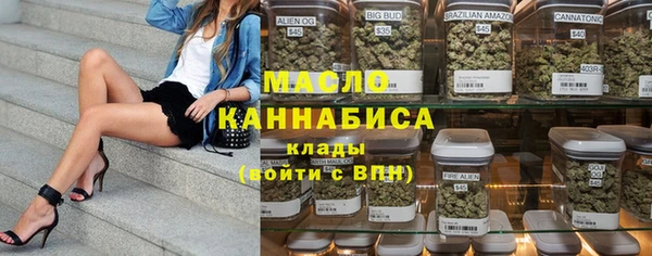 шишки Няндома