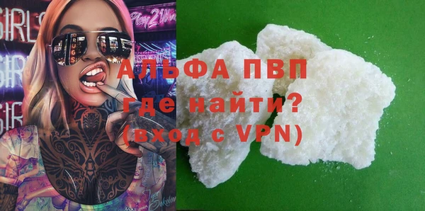 шишки Няндома