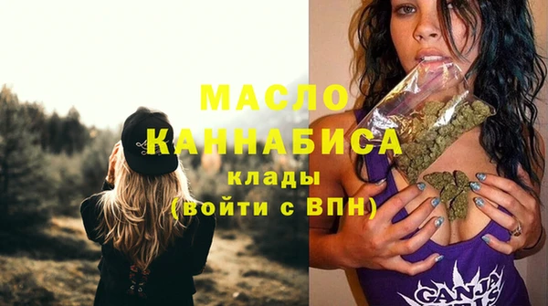 шишки Няндома