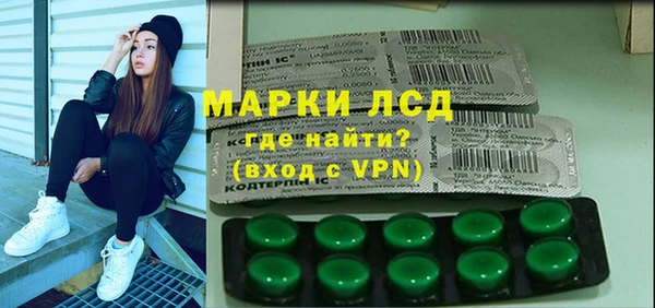 шишки Няндома