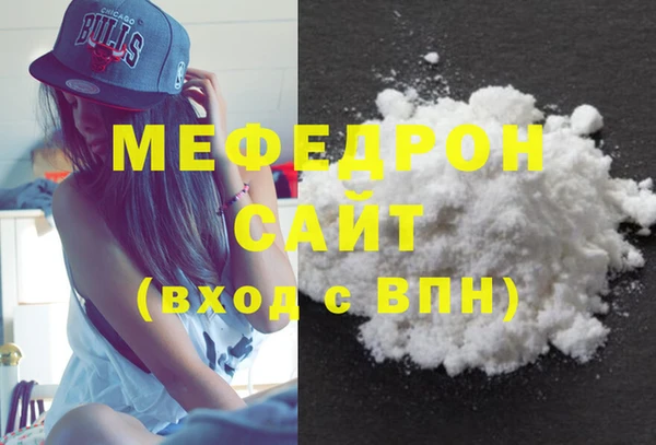 шишки Няндома