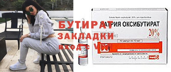 шишки Няндома