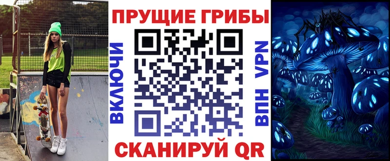 Псилоцибиновые грибы мухоморы  mega маркетплейс  Петровск-Забайкальский 
